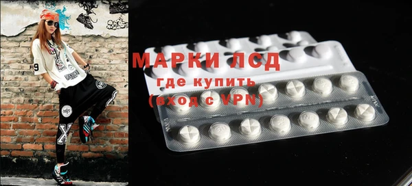 ПСИЛОЦИБИНОВЫЕ ГРИБЫ Бугульма