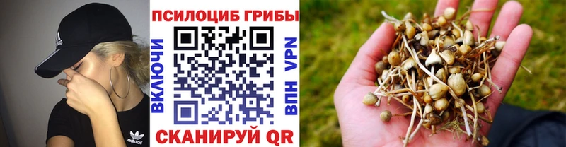 Галлюциногенные грибы Magic Shrooms  как найти закладки  Новосокольники 